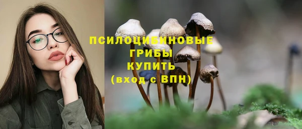 мдпв Беломорск