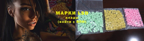 индика Белоозёрский