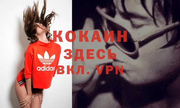 индика Белоозёрский