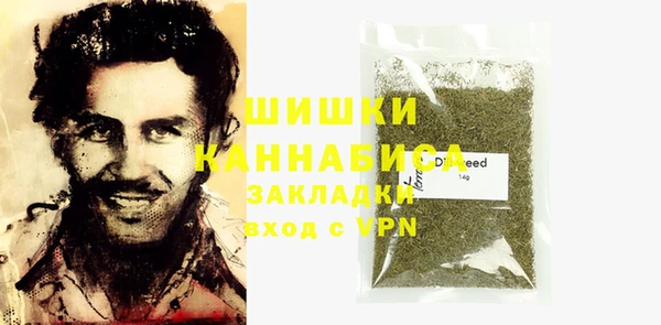 индика Белоозёрский