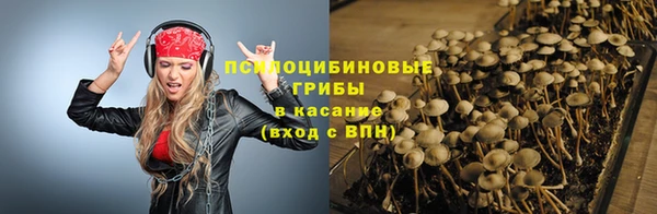 индика Белоозёрский