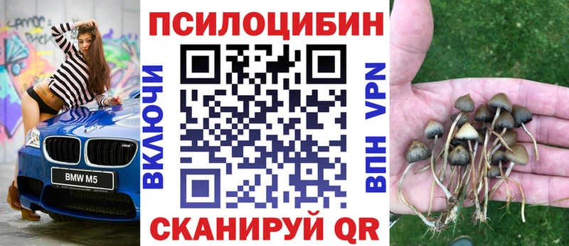 Псилоцибиновые грибы ЛСД  блэк спрут сайт  Неман 